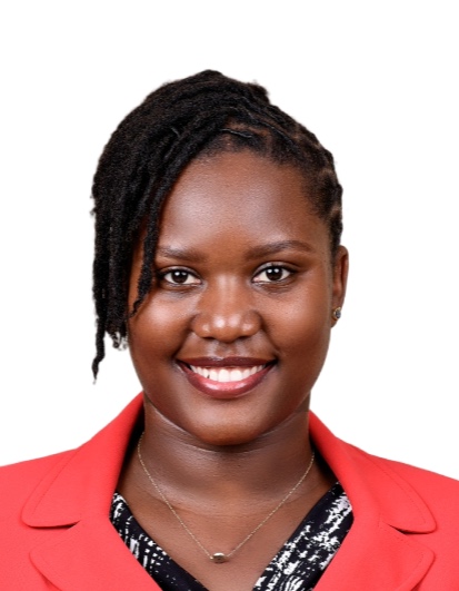 Tax Advisor in top Tax firms in kenya